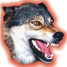 наклейка "волк цветной (голова)" (красный фон)
