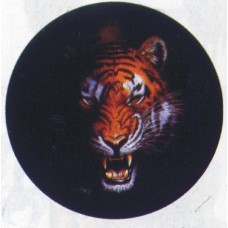 наклейка тигр