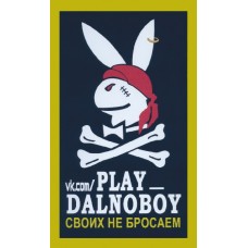наклейка PLAY_DALNOBOY №1